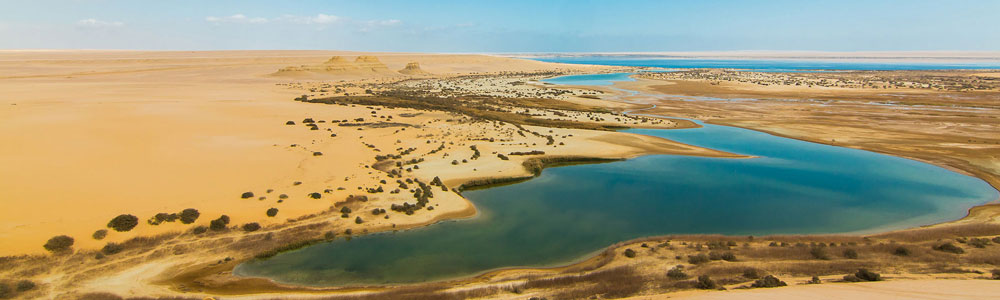 Tour to Fayoum Oasis From Cairo