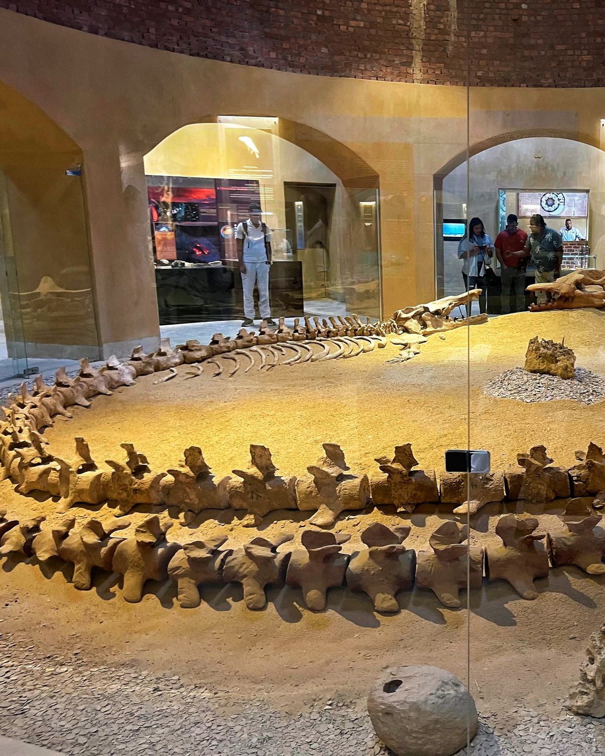 Wadi el Hitan