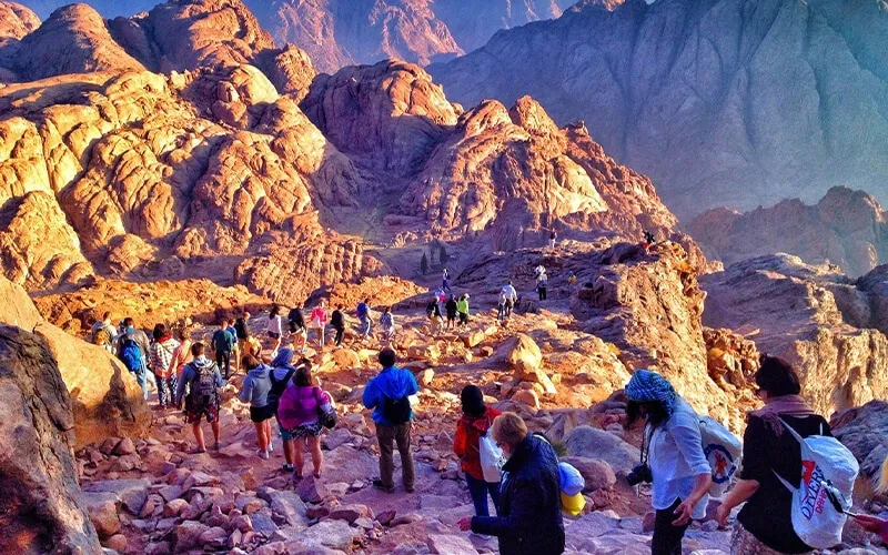 immersion / Nature / Aventure
