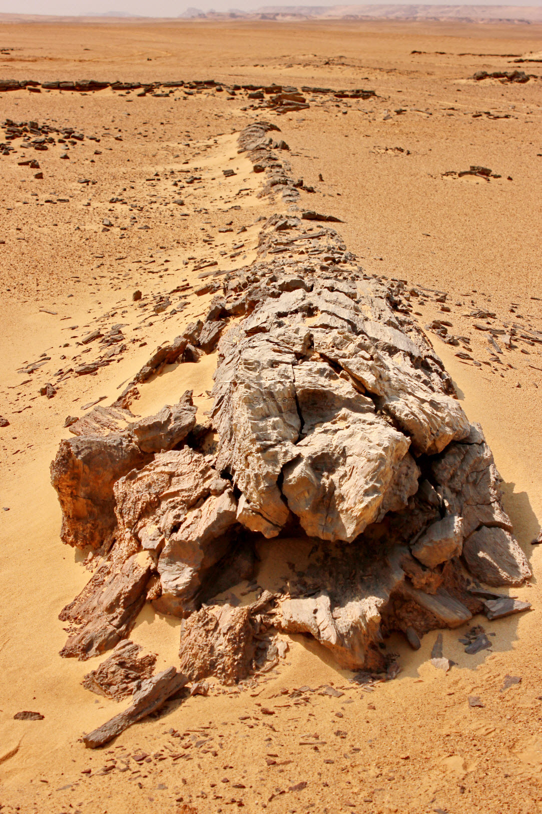 Aventure d'Oasis en Oasis : 8 jours d'evasion entre Le Caire, la Vallee des Baleines et Siwa la mysterieuse