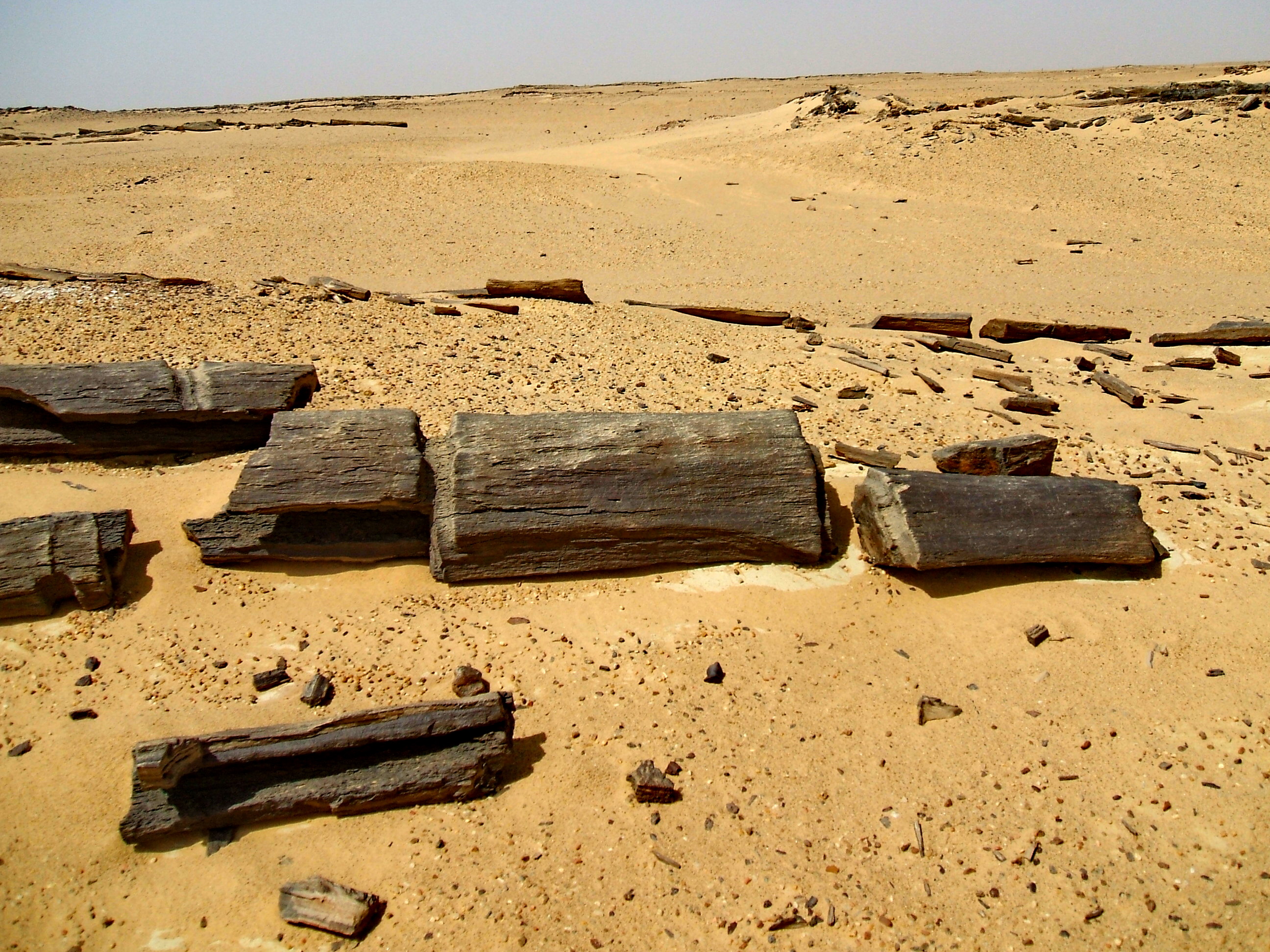 Aventure d'Oasis en Oasis : 8 jours d'evasion entre Le Caire, la Vallee des Baleines et Siwa la mysterieuse