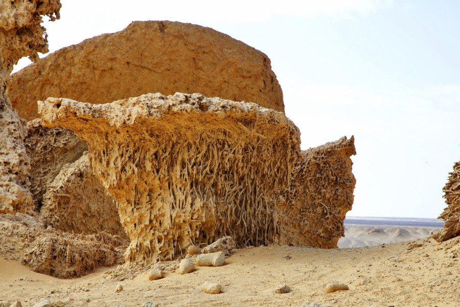 Aventure d'Oasis en Oasis : 8 jours d'evasion entre Le Caire, la Vallee des Baleines et Siwa la mysterieuse