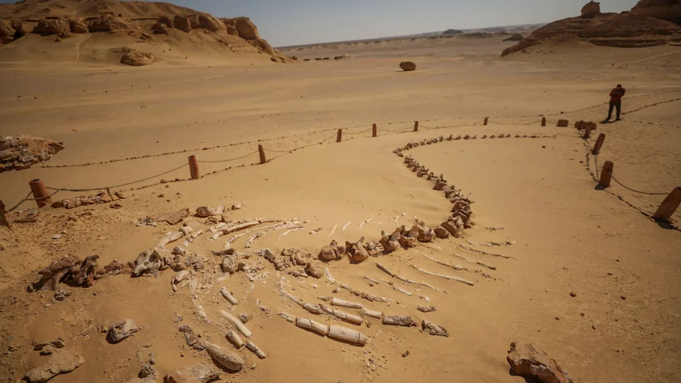 Egypte plurielle : Alexandrie, Le Caire et les merveilles du Fayoum - 8 jours entre mer et desert, pyramides et paleontologie