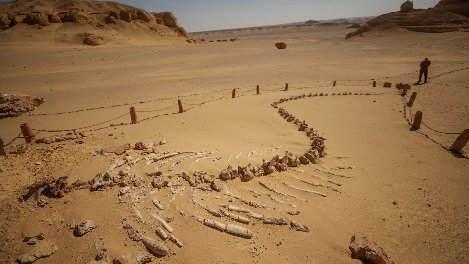 Aventure d'Oasis en Oasis : 8 jours d'evasion entre Le Caire, la Vallee des Baleines et Siwa la mysterieuse