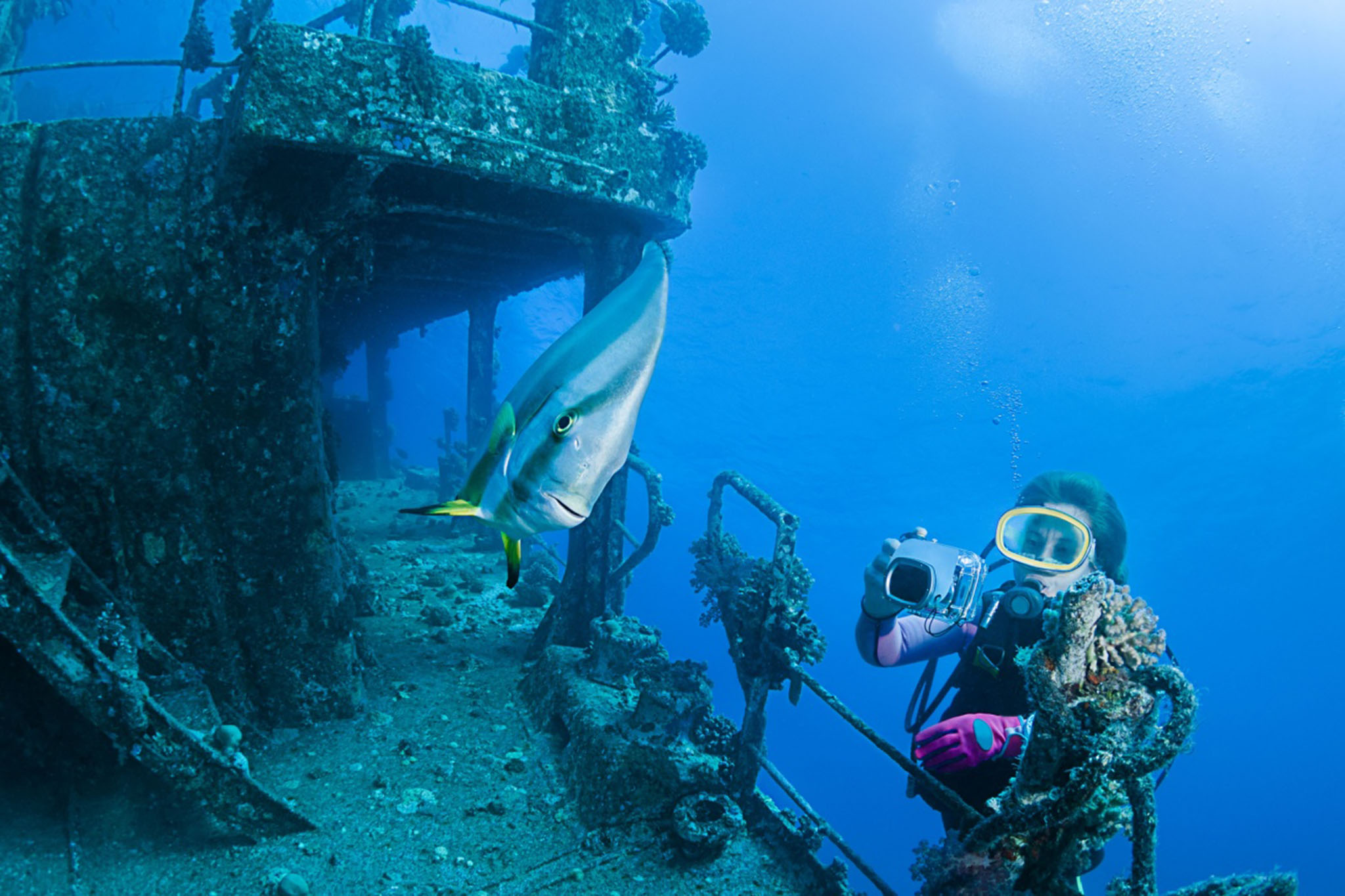 Ras Mohammed Snorkeling Trip