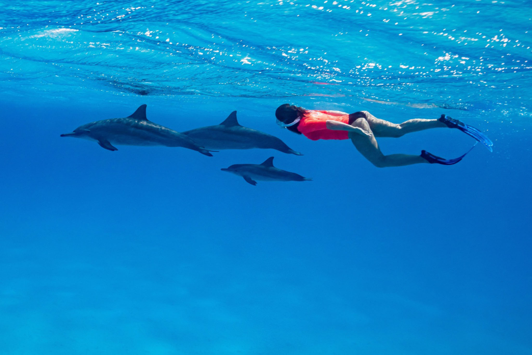 Ras Mohammed Snorkeling Trip