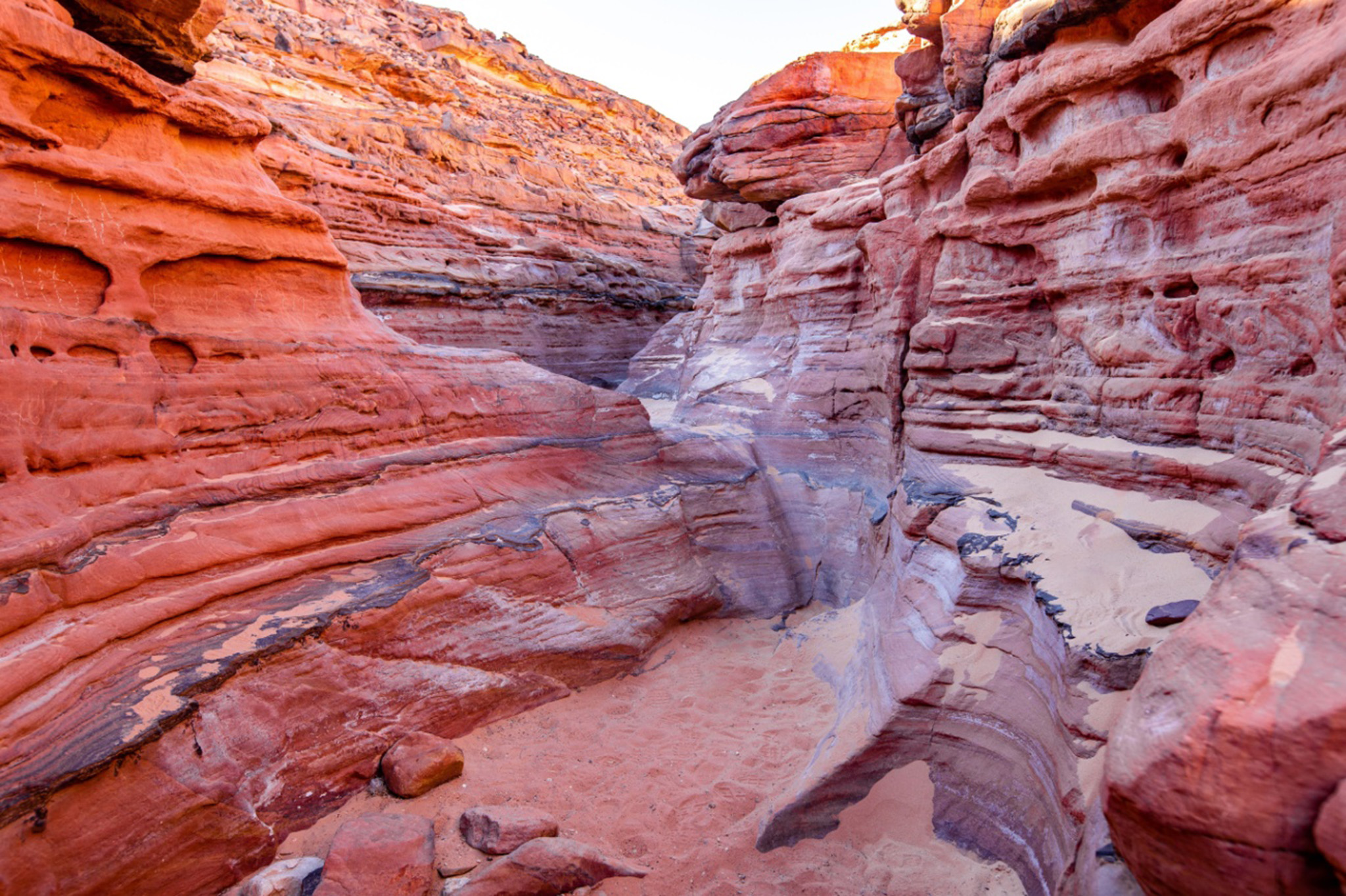 Petra & Wadi Rum Adventure