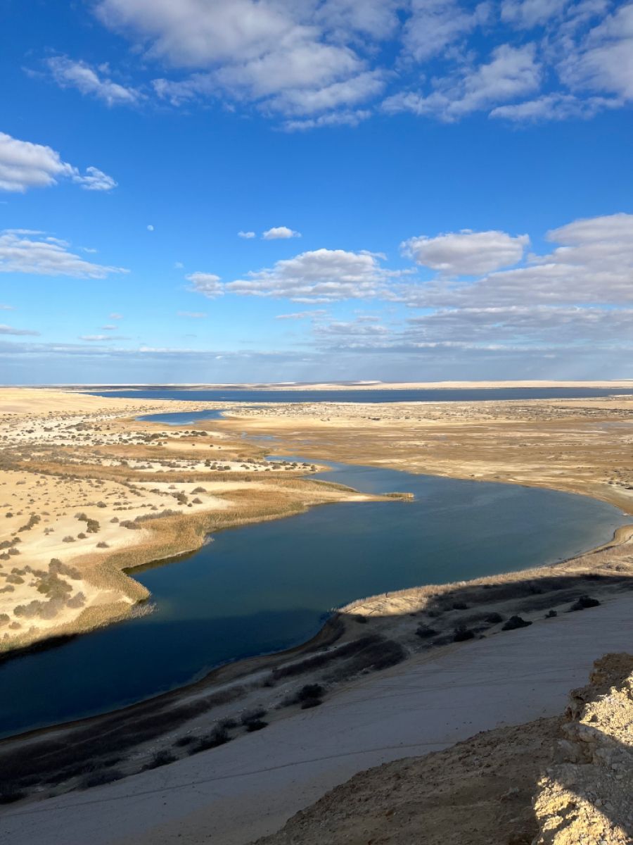 Tour to Fayoum Oasis From Cairo