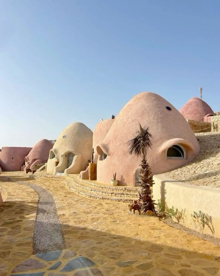 Tour to Fayoum Oasis From Cairo